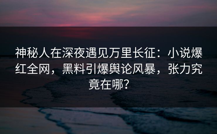 神秘人在深夜遇见万里长征：小说爆红全网，黑料引爆舆论风暴，张力究竟在哪？