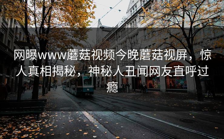 网曝www蘑菇视频今晚蘑菇视屏，惊人真相揭秘，神秘人丑闻网友直呼过瘾