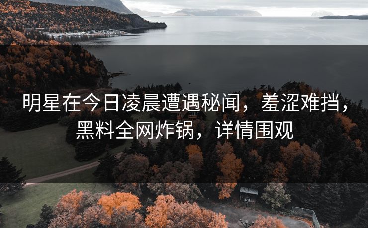明星在今日凌晨遭遇秘闻，羞涩难挡，黑料全网炸锅，详情围观